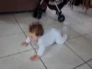 AIBO