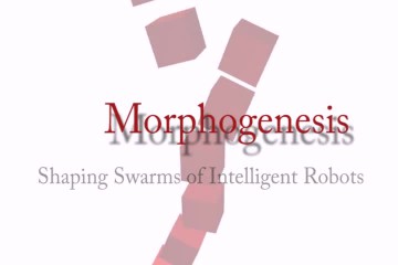 Morph