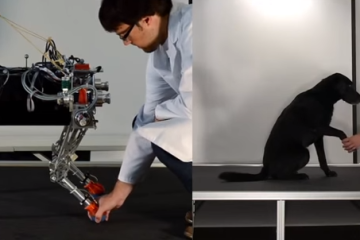 RobotDog