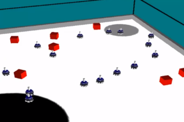 Swarm2